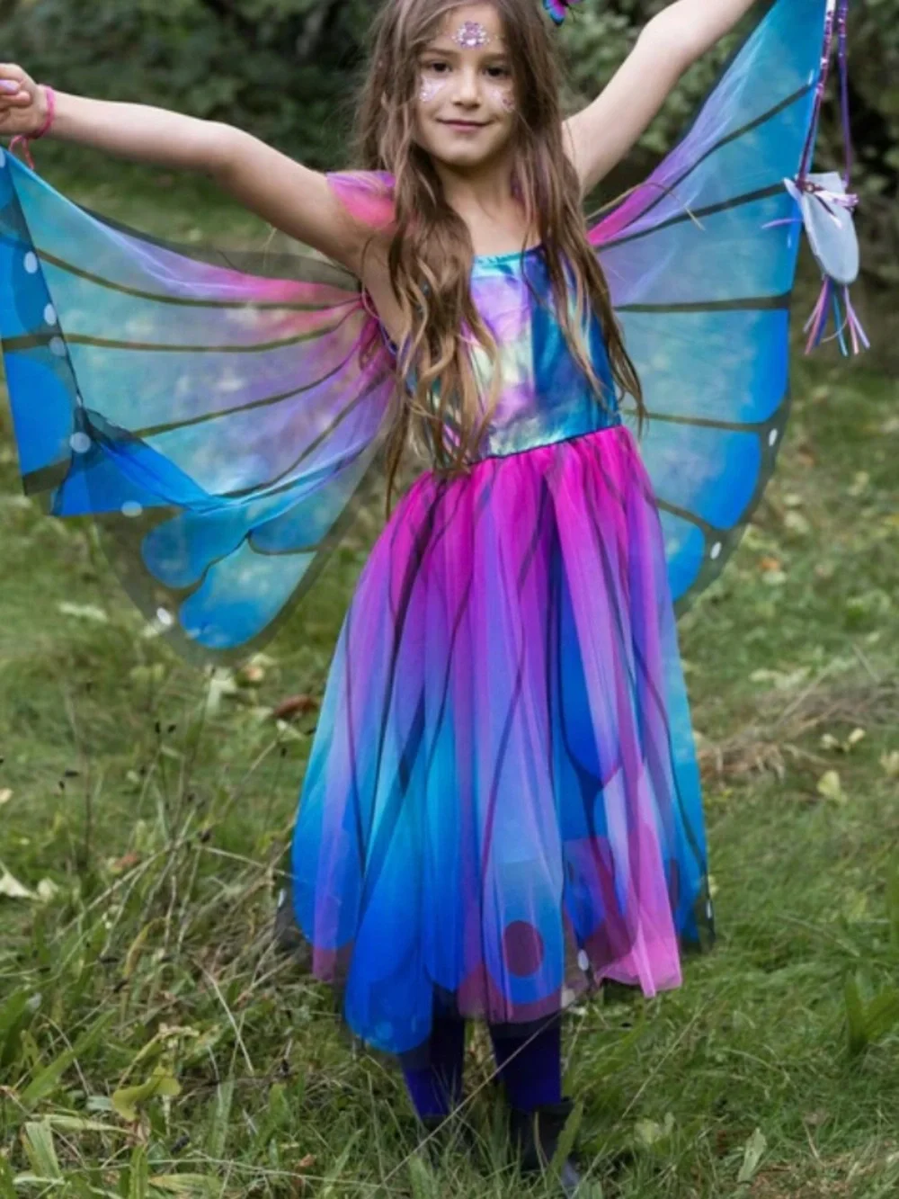 Butterfly /Fairy Wings dress.